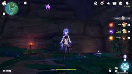 Genshin - Electroculus 29