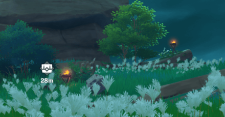 Genshin - Light the 4 Torches