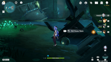 Genshin Impact - The Farmers Treasure - Old Stone Slate 4