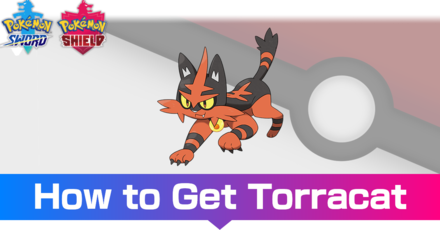 Torracat - Evolutions, Location, and Learnset.png