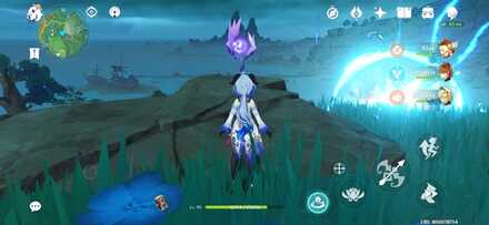 Genshin Impact - Electroculus 81