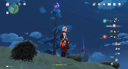 Genshin - Electroculus 9