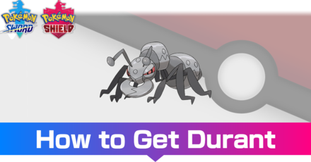 Durant - Evolutions, Location, and Learnset