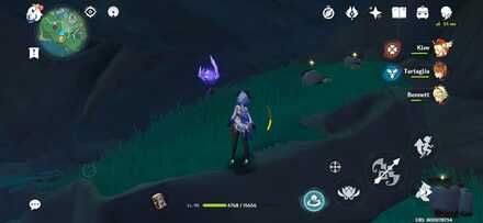 Genshin Impact - Electroculus 90