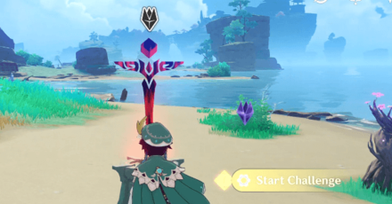 Genshin - Start the Challenge