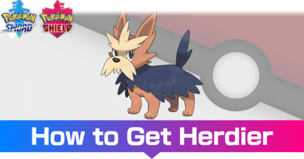 Herdier - Evolutions, Location, and Learnset