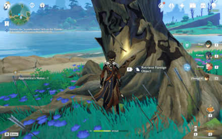 Genshin Impact - Thunder Sakura - Foreign Object