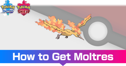 Pokemon Let's Go, Moltres - Stats, Moves, Evolution & Locations