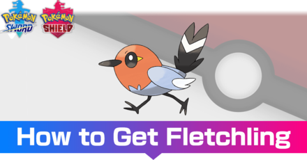 Fletchling Evolutions Location And Learnset Pokemon Sword And Shieldgame