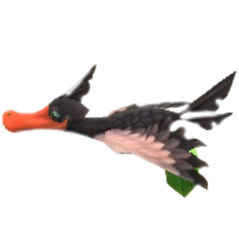 Rupee Guay Basic Info.jpg