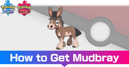 Mudbray - Evolutions, Location, and Learnset