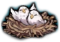 Bird Nest EX
 Icon