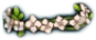 White-Flower Crown
 Icon