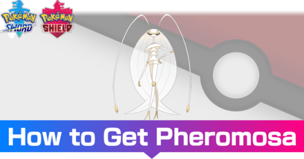 Pheromosa - Evolutions, Location, and Learnset.png