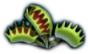 Flytrap Doll Icon