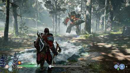 Forest World View.jpg