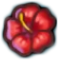Happy Hibiscus
 Icon