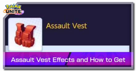 Held Item - Assault Vest Banner