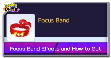 Held Item - Focus Band Banner