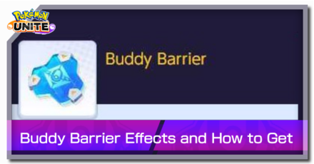 Held Item - Buddy Barrier Banner