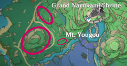 Genshin - Aralia Wood Location - Narukami Island