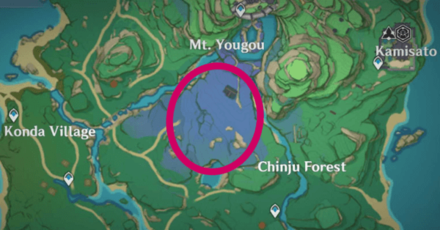 Genshin - Aralia Wood Location - Mt. Yougou Location