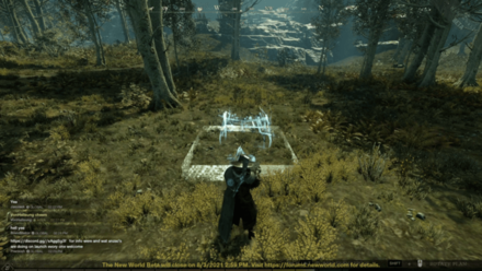 New World - Setting Up Camps