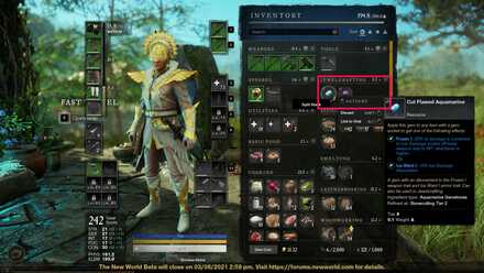 New World Gem Socket 1