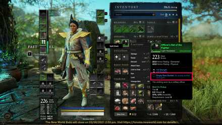 New World Gem Socket 2