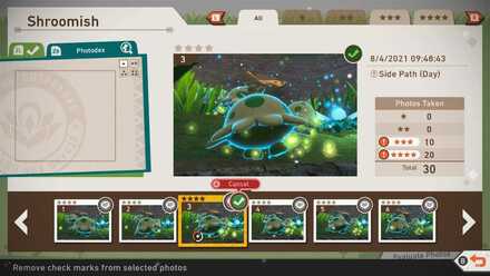 New Pokemon Snap - Streamlined Requests