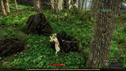 New World - Craft Cut Gemstones