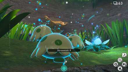 Three Shroomish near Crystabloom.jpg