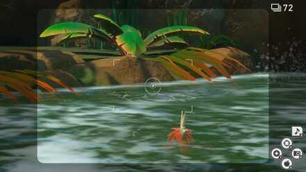 Bubbles in the River.jpg