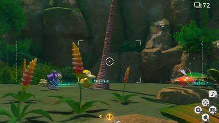 Catch the Attention of Psyduck.jpg