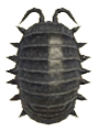 ACNH - Pill Bug