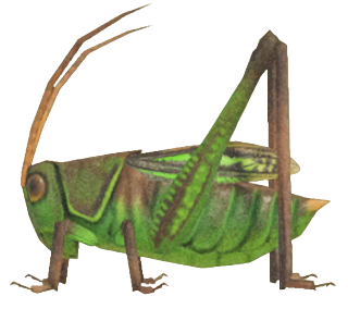 ACNH - Grasshopper
