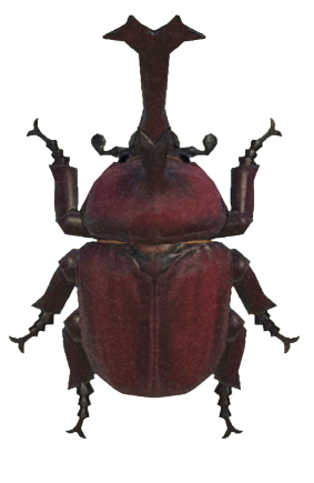 ACNH - Horned Dynastid