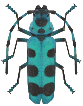 ACNH - Rosalia Batesi Beetle