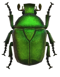 ACNH - Drone Beetle