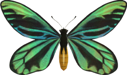 ACNH - Queen Alexandra