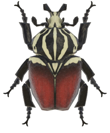 ACNH - Goliath Beetle
