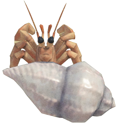ACNH - Hermit Crab