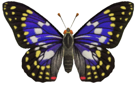 ACNH - Great Purple Emperor