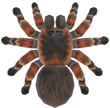 ACNH - Tarantula