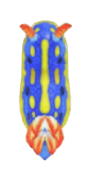 ACNH - Sea Slug