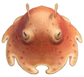 ACNH - Umbrella Octopus