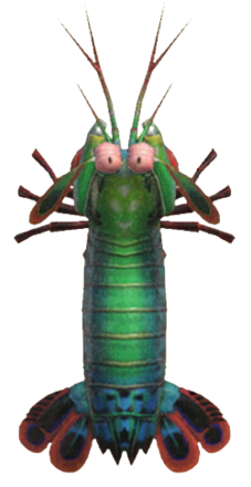 ACNH - Mantis Shrimp