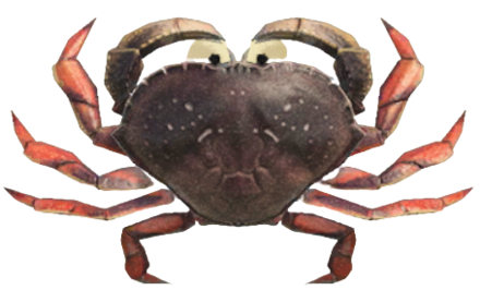 ACNH - Dungeness Crab