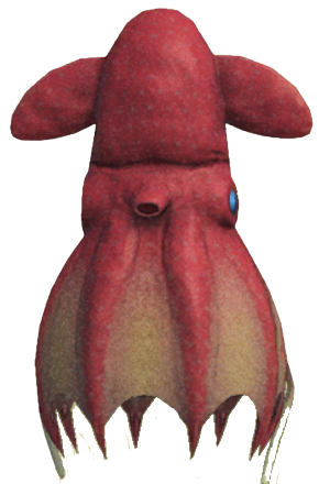 ACNH - Vampire Squid