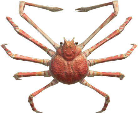 ACNH - Spider Crab